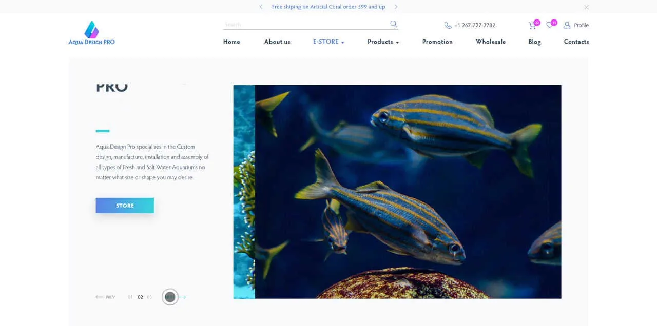 e-store page example