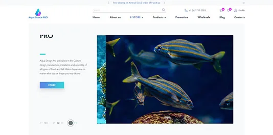 e-store page example